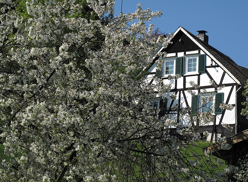 Wuppertal Haus IMG_1783 Kopie.jpg -    Bergisches Fachwerkhaus                            